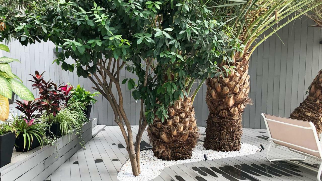 Calypso Boutique Apartments Puerto Rico  Zewnętrze zdjęcie